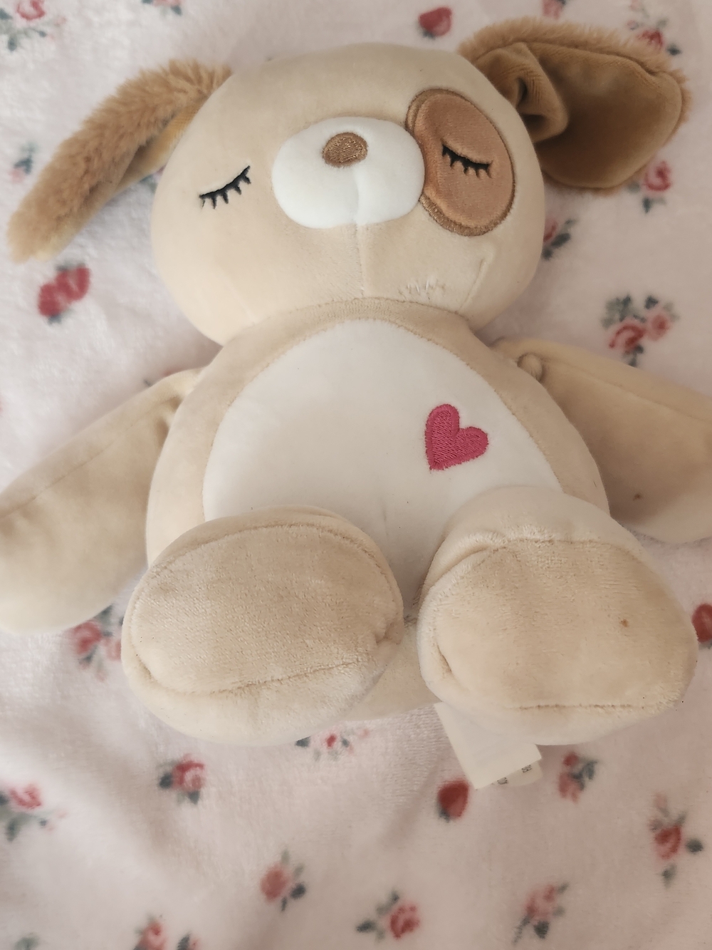 Squishmallows Beige Plush Dog Toy with White Belly and Pink Heart